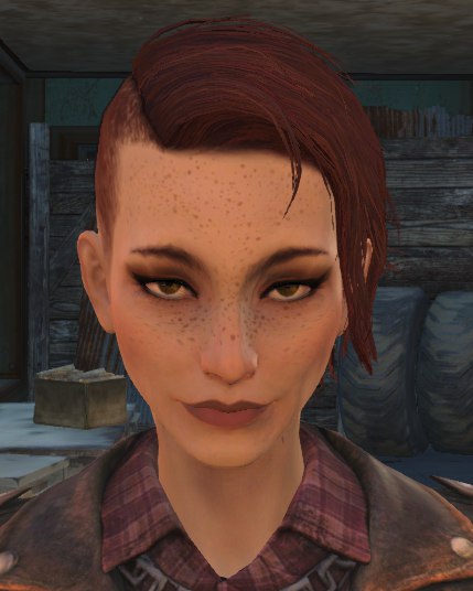 Fallout 4 как создать магазин